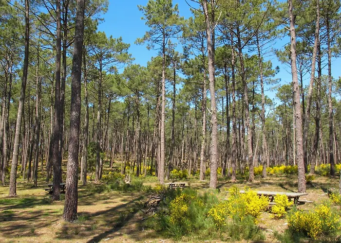 Jade Et Elena-4 By Interhome 아파트 *